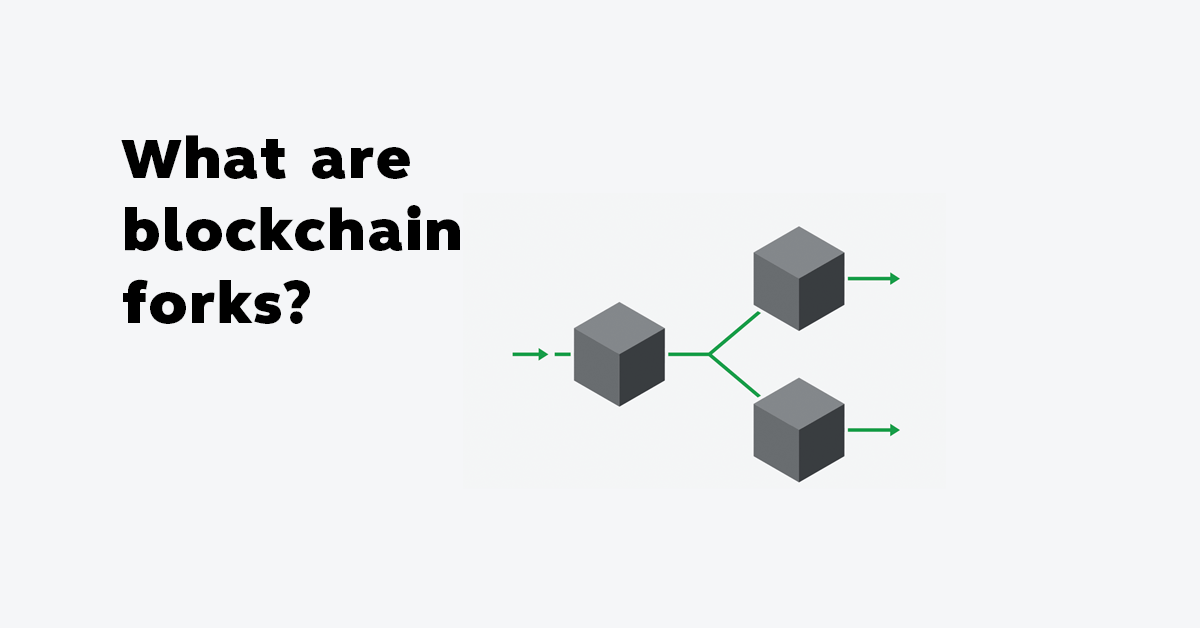 What are blockchain forks?